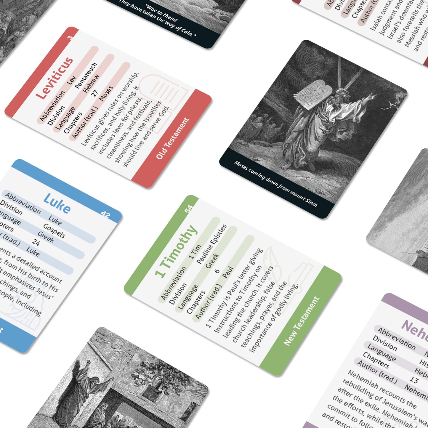 CARDDIA | Books of The Bible Flash Cards | Woodcut Illustrations, Color-Coded Divisions & Key Facts | Perfect for Bible Study, New Christians