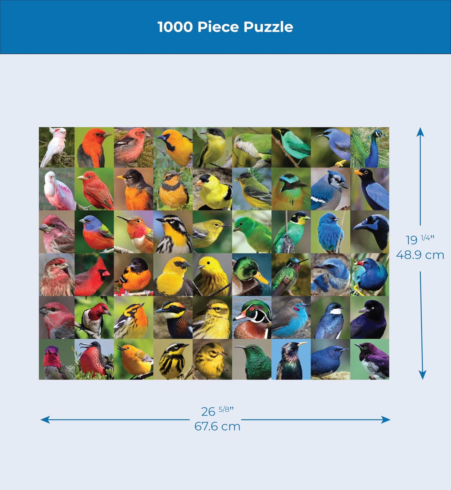 New York Puzzle Company - Cornell Lab Rainbow of Birds - 1000 Piece Jigsaw Puzzle for Adults