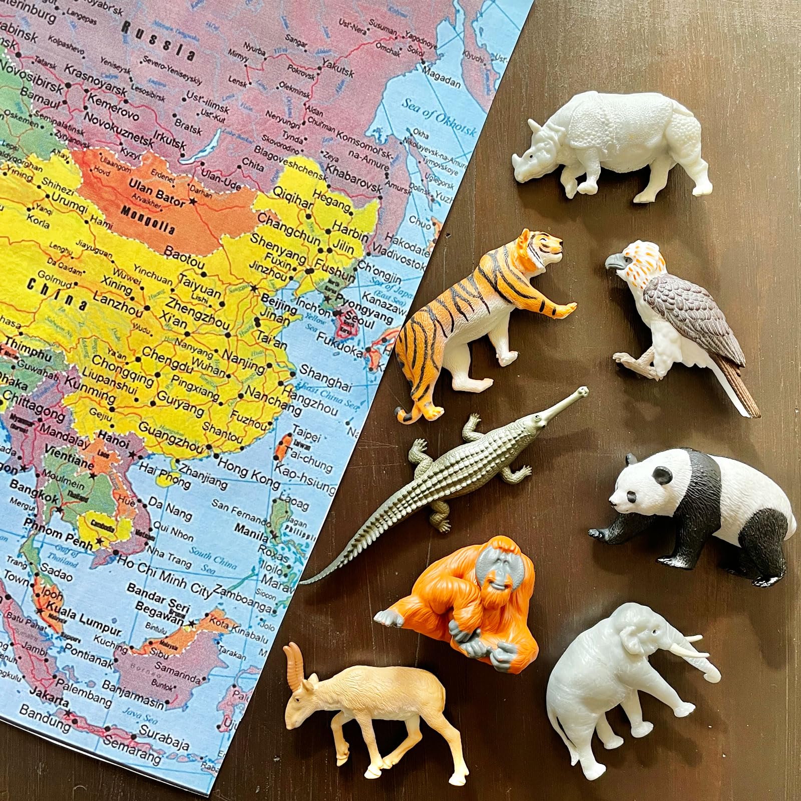 Safari Ltd. Asian Animals TOOB - Set of 8 Mini Figurines - Asian Elephant, Indian Rhino, Orangutan, Panda Bear, Tiger, Antelope, Philippine Eagle,