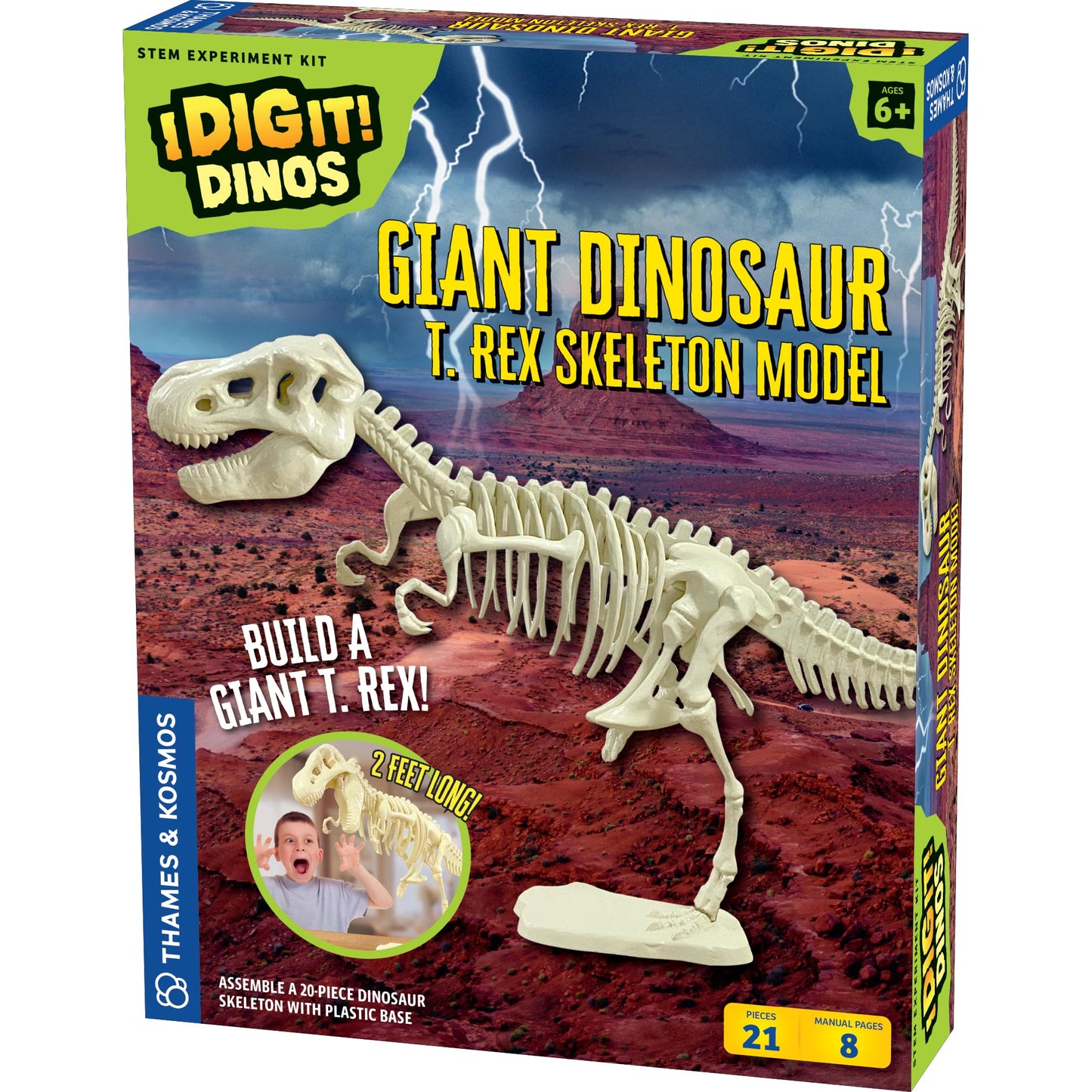 Thames & Kosmos Giant Dinosaur: T. Rex Skeleton Model | STEM Activity | Build a 26-in Long T. Rex Skeleton | Explore Paleontology & Learn Fun Dino