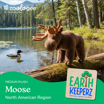 The Petting Zoo Moose Stuffed Animal Plushie, Gifts for Kids, Earth Keeperz Wildlife Animals, Zoologee Moose Plush Toy, 13 inches