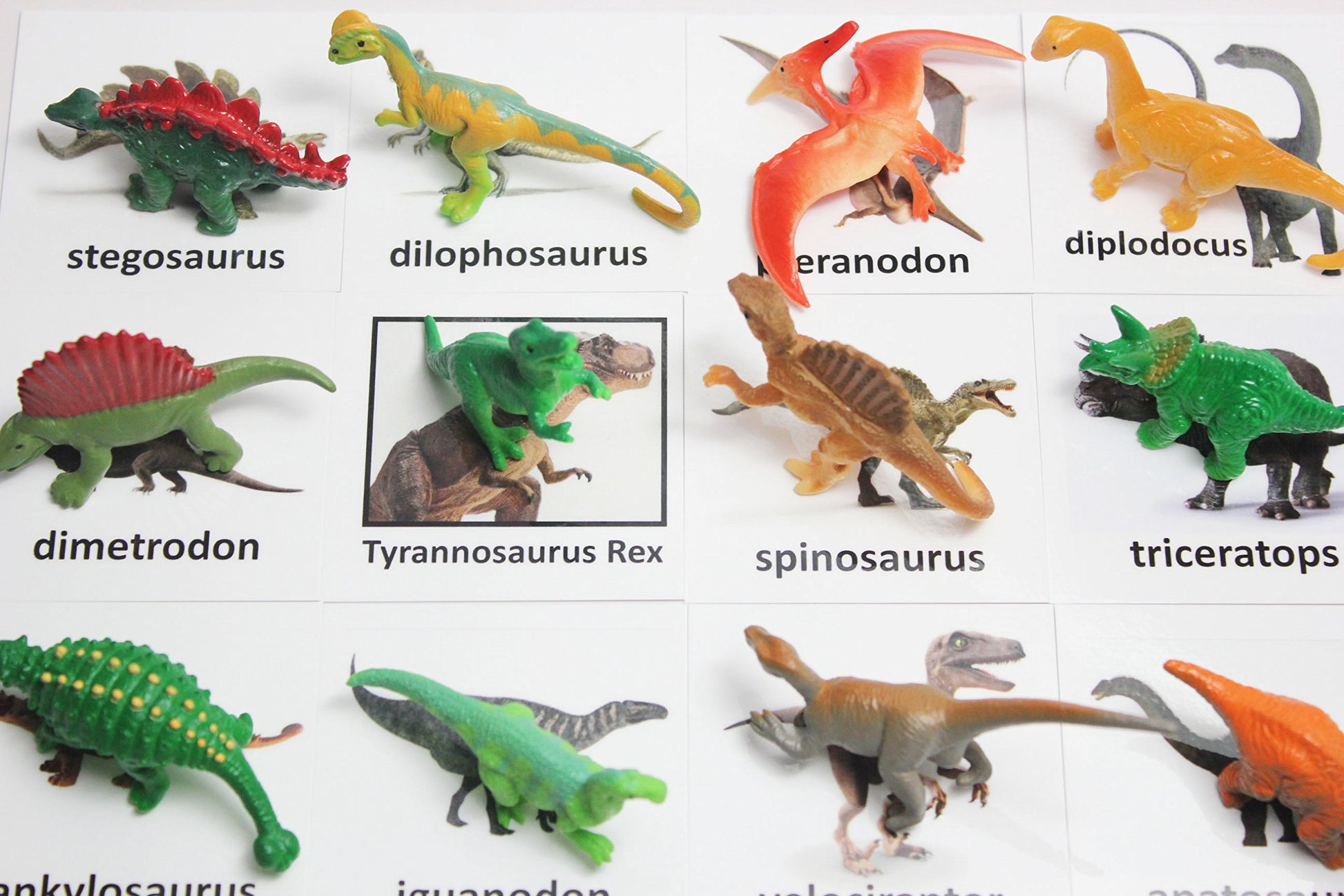 Curious Minds Busy Bags Montessori Dinosaur Figure Animal Match - Miniature Dino Figurines with Matching Cards - 2 Part Cards. Montessori Learning