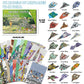 Elfew 48 Sheet Paper Airplane Kit for Kids Ages 6-8,8-12, Origami Paper Plane Kits for Boys, Crafts for Kids Activities, Origami Book, Airplane Toys