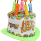 Adult Rainbow Birthday Cake Plush Hat - Plush Foam Hat with Adjustable Band and Hidden Pocket ST