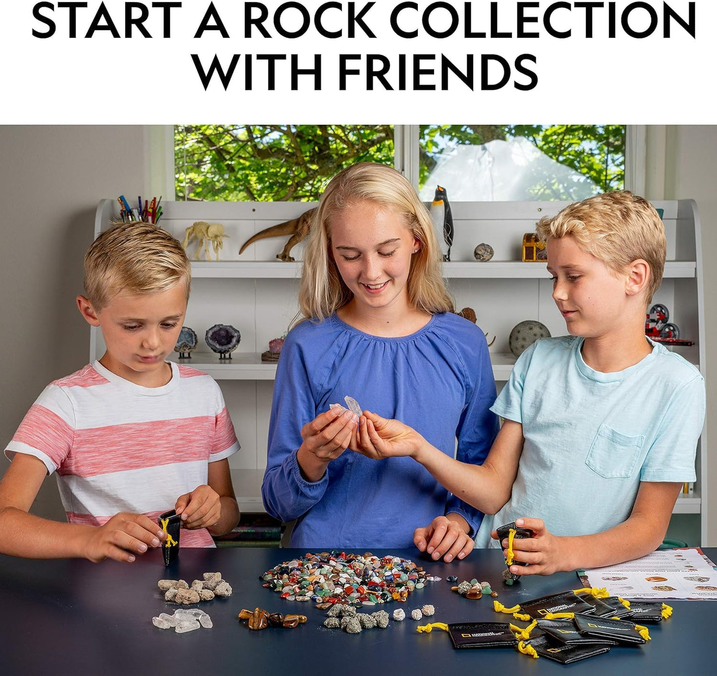 National Geographic Rock Collection with 50 Specimens to Share for Kids