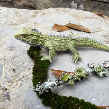 Safari Ltd. Tuatara Figurine - Realistic 7" Reptile Figure - Fun Educational Toy for Boys, Girls, and Kids Ages 3+