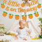Glitter "A Little Cutie Is On The Way" Banner with Citrus Garland, Orange Fruit Baby Shower Decoration, Tangerine Themed Gender Reveal Summer Photo