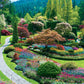 EuroGraphics Butchart Gardens - Sunken Garden Jigsaw Puzzle (1000-Piece)