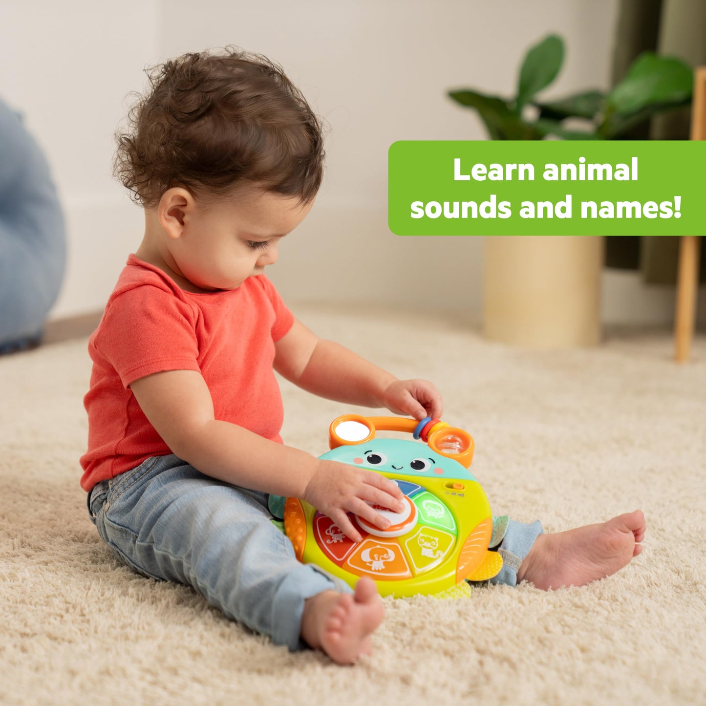 Bright Starts Safari Surprise Multisensory Toy, Light-Up Electronic Baby Toy with Animal Sounds and Melodies, Press for Cause and Effect Discovery