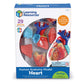 Learning Resources Human Heart Model, Anatomy and Science Classroom Must Haves, Body Model, STEM Study Tools, Back to School Kits, Homeschool Gifts