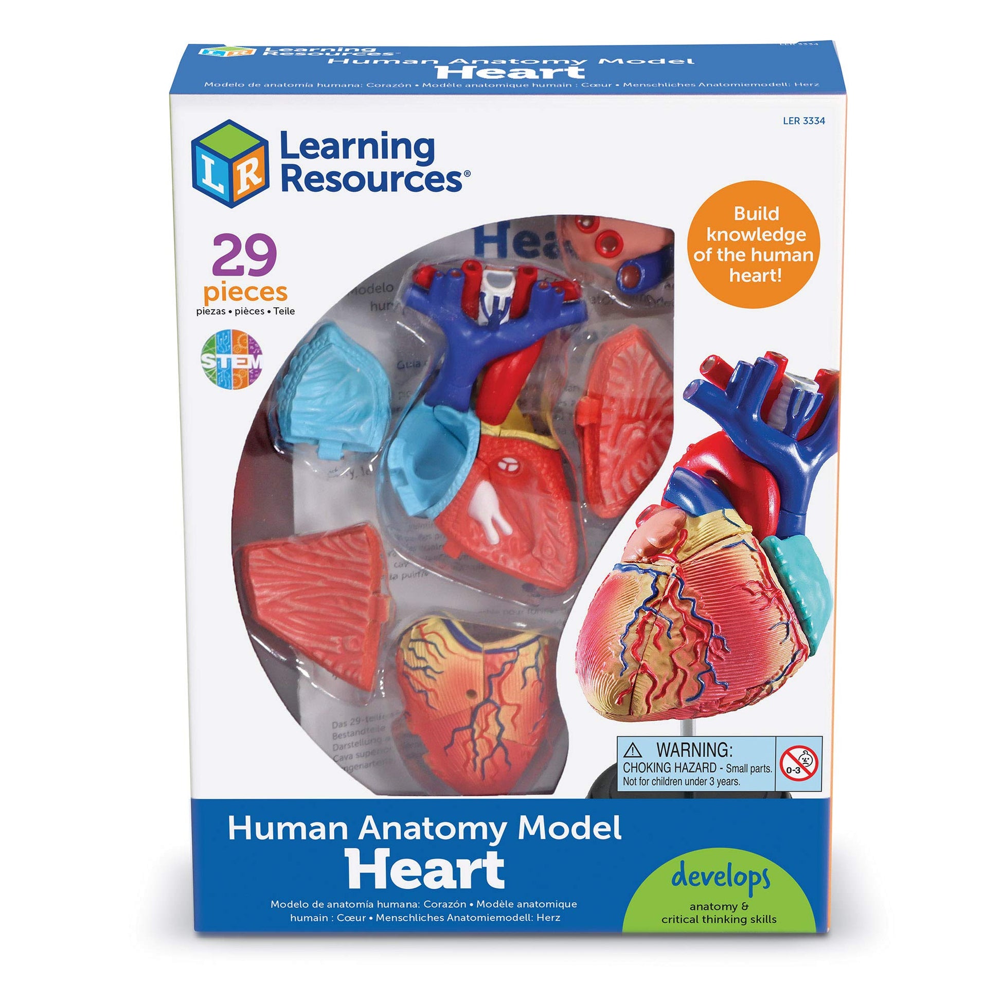 Learning Resources Human Heart Model, Anatomy and Science Classroom Must Haves, Body Model, STEM Study Tools, Back to School Kits, Homeschool Gifts