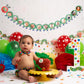 Hungry Caterpillar Monthly Milestone Photo Banner - Newborn to 12 Months, Fruit Theme, 1st Birthday Decoration