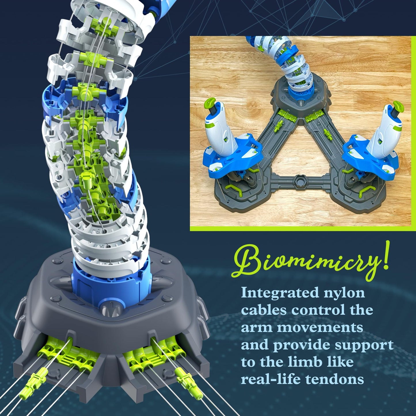 Thames & Kosmos Bionic Robotic Arm STEM Experiment Kit, Toy of The Year Finalist, Build a Mechanical Arm, No Batteries/Motors Required | Innovative