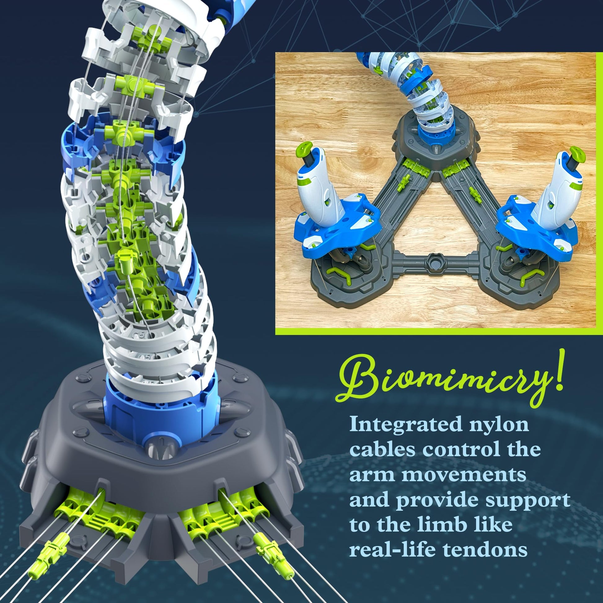 Thames & Kosmos Bionic Robotic Arm STEM Experiment Kit, Toy of The Year Finalist, Build a Mechanical Arm, No Batteries/Motors Required | Innovative