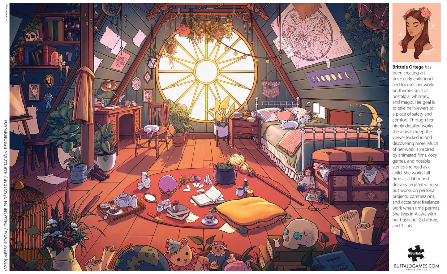 Buffalo Games - Messy Room - 500 Piece Jigsaw Puzzle for Adults