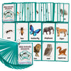 46PCS/Set Wild Animals&Insects Kids Gifts English Flash Cards Pocket Card Educational Learning Baby Toys for Children Pre-Kindergarten