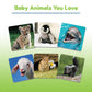 Wonder Forge Baby Animals Matching Game - Engaging Memory Booster | Age 3 to 5 | Fast-Paced, Fun & Educational | Ideal Gift for Easter