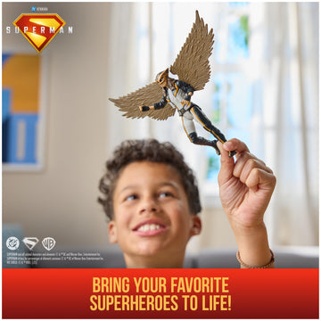DC Comics Superman Hawk Girl Action Figure, 6-Inch