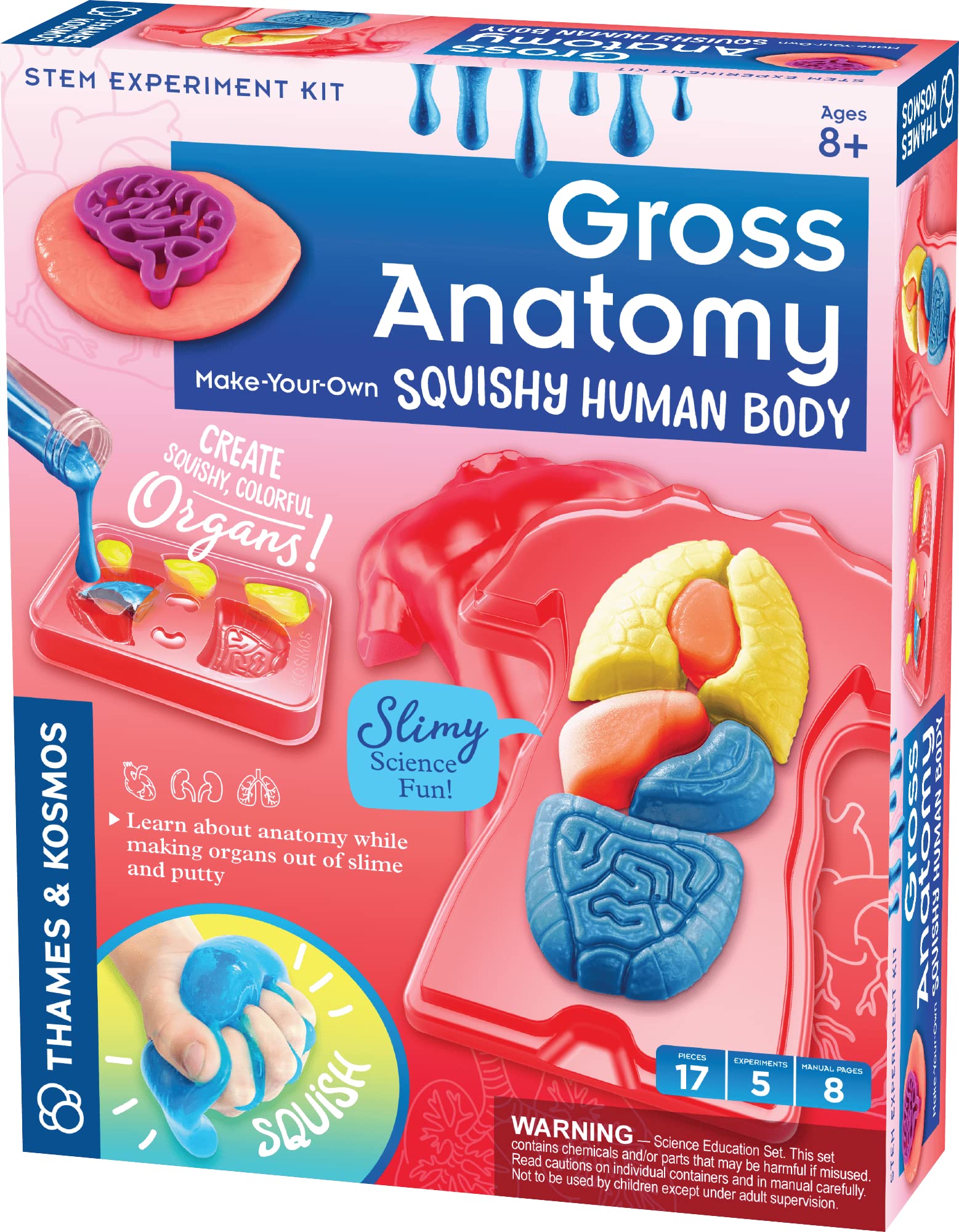 Thames & Kosmos Gross Anatomy: Make-Your-Own Squishy Human Body STEM Experiment Kit | Make Colorful Models of Human Organs with Slime & Putty | Fun