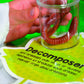 Clear Plastic See-Through Bug Jars - 3" (Pack of 10) - Ideal for Kids' Science Projects & Educational Activities