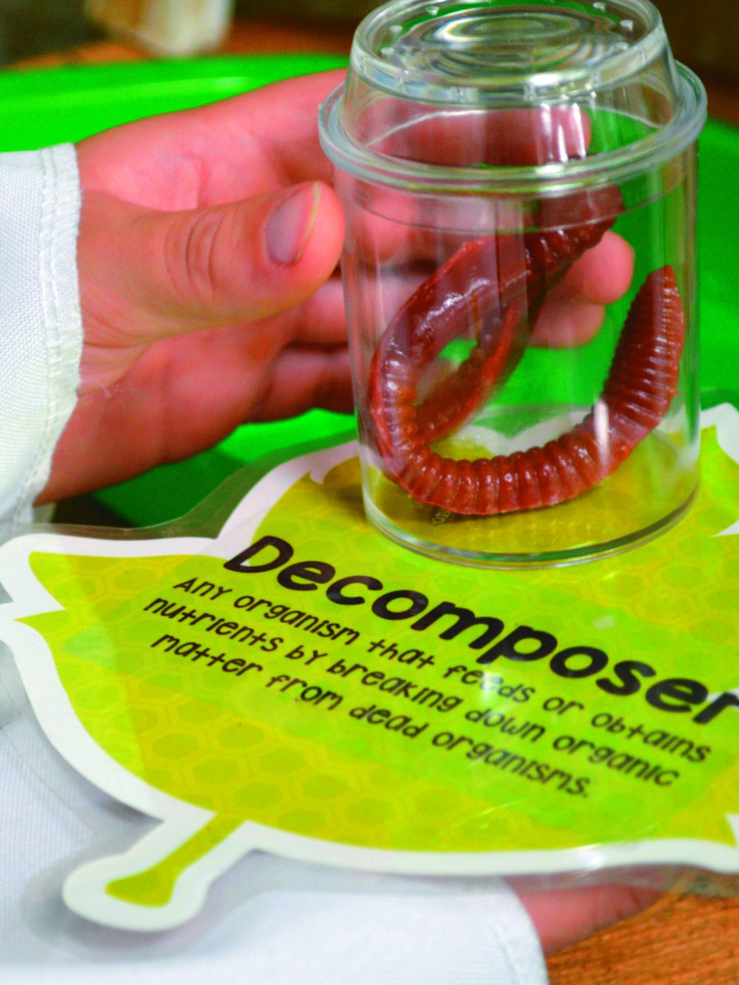 Clear Plastic See-Through Bug Jars - 3" (Pack of 10) - Ideal for Kids' Science Projects & Educational Activities