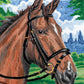 Royal & Langnickel Mini Colour Pencil By Number Kit: 5x7 Horse