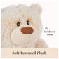 GUND Bubbles 10-Inch Whimsical Brown Teddy Bear Plush Toy for Ages 0+