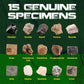 Rock & Stone Collection 15 PCS with Collector Box, STEM Geology for Kids