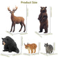 Toymany 12PCS North American Forest Animal Figurines, Realistic Jungle Zoo Animal Set Includes Moose,Cougar,Wolf,Bear,Eagle,Deer Educational Toy Cake