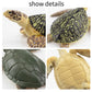 Toymany 6PCS Realistic Sea Turtle Figurines, Plastic Ocean Sea Animals Figures Set Includes of Turtles, Educational Toy Cake Toppers Christmas
