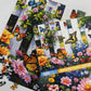 Springbok Butterfly Haven 500 Piece Jigsaw Puzzle for Adults