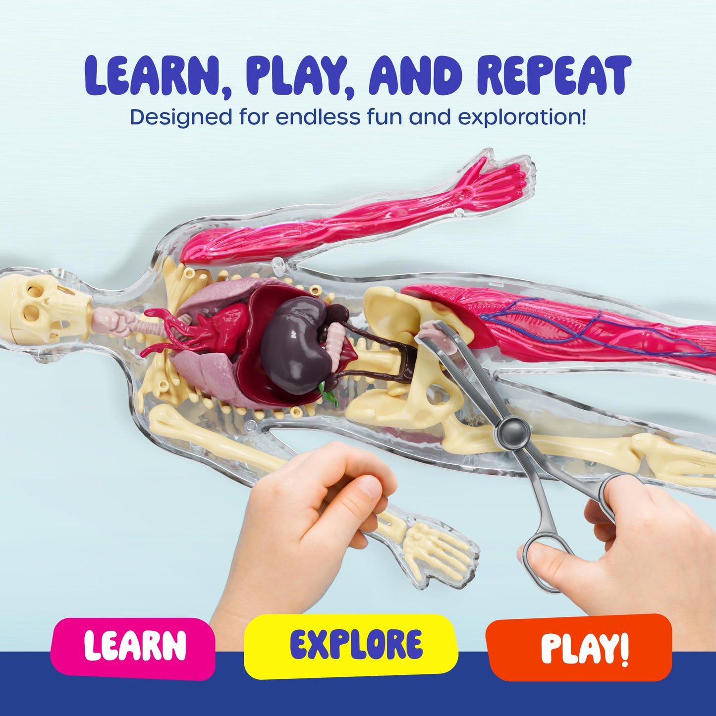 Dan&Darci Human Anatomy Squishy Body Model - Science Kits for Kids Ages 4-8 - STEM Toys for 4 5 6 7 8 Year Old Boy Birthday Gift - Learning