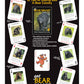 Discover Series Fun Playing Cards - Informational & Educational (Bear Smart)