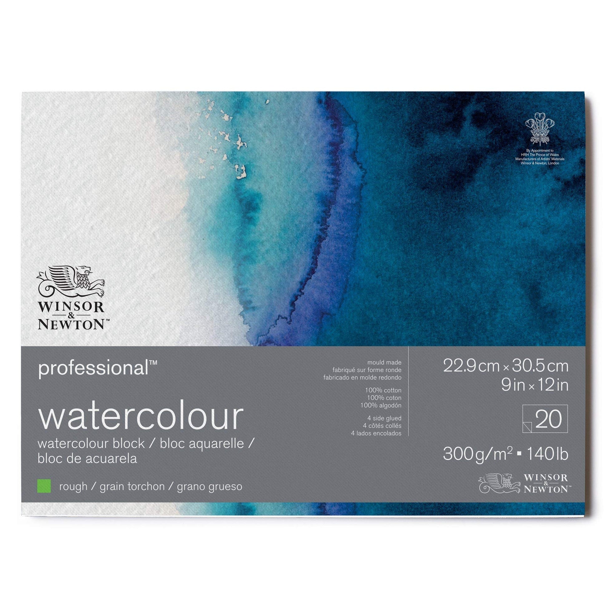 Winsor & Newton Professional Watercolor Paper Block, 9" x 12", Rough