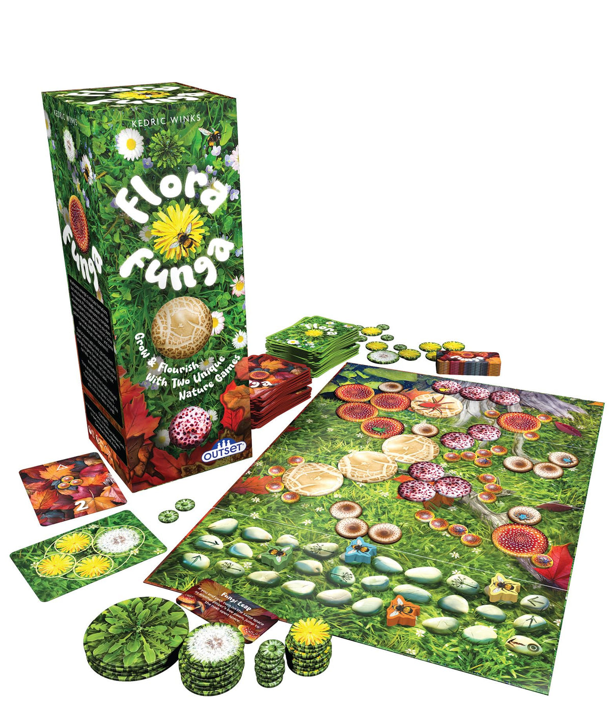 Flora Funga - The Pattern Forming Game - Features Two Nature-Inspired Games - for Ages 10 and up