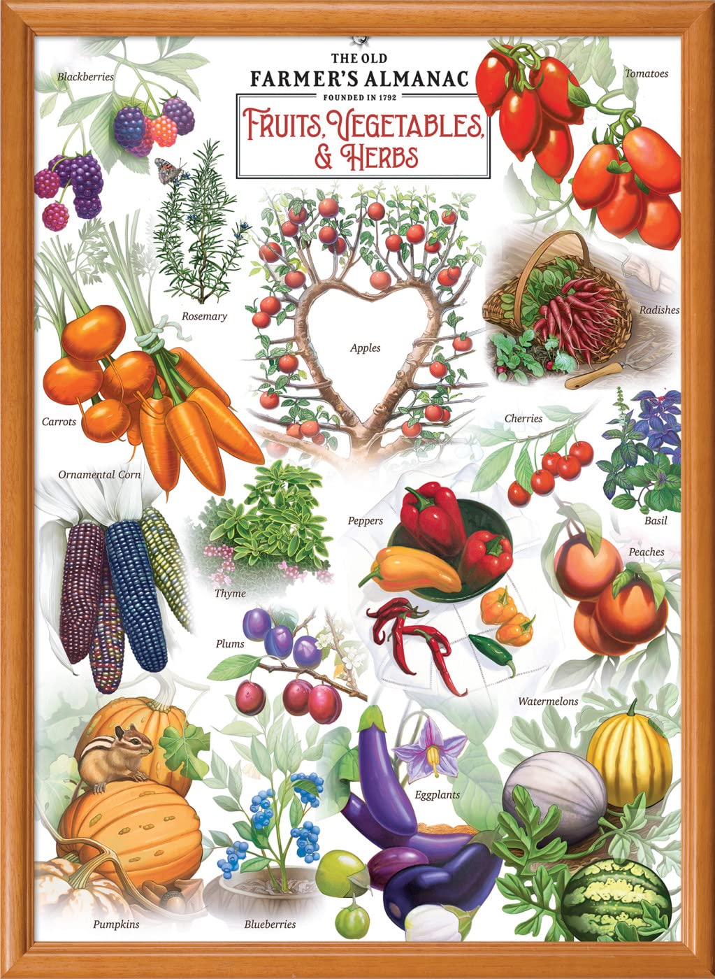 MasterPieces 1000 Piece Jigsaw Puzzle for Adults, Family, Or Youth - Farmer's Almanac; Fruits Vegetables and Berries - 19.25"x26.75"