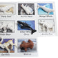Montessori Arctic Polar Animal Match - Miniature Arctic Animal Toy Figurines with Matching Cards - 2 Part Cards. Montessori Learning Toy, Language