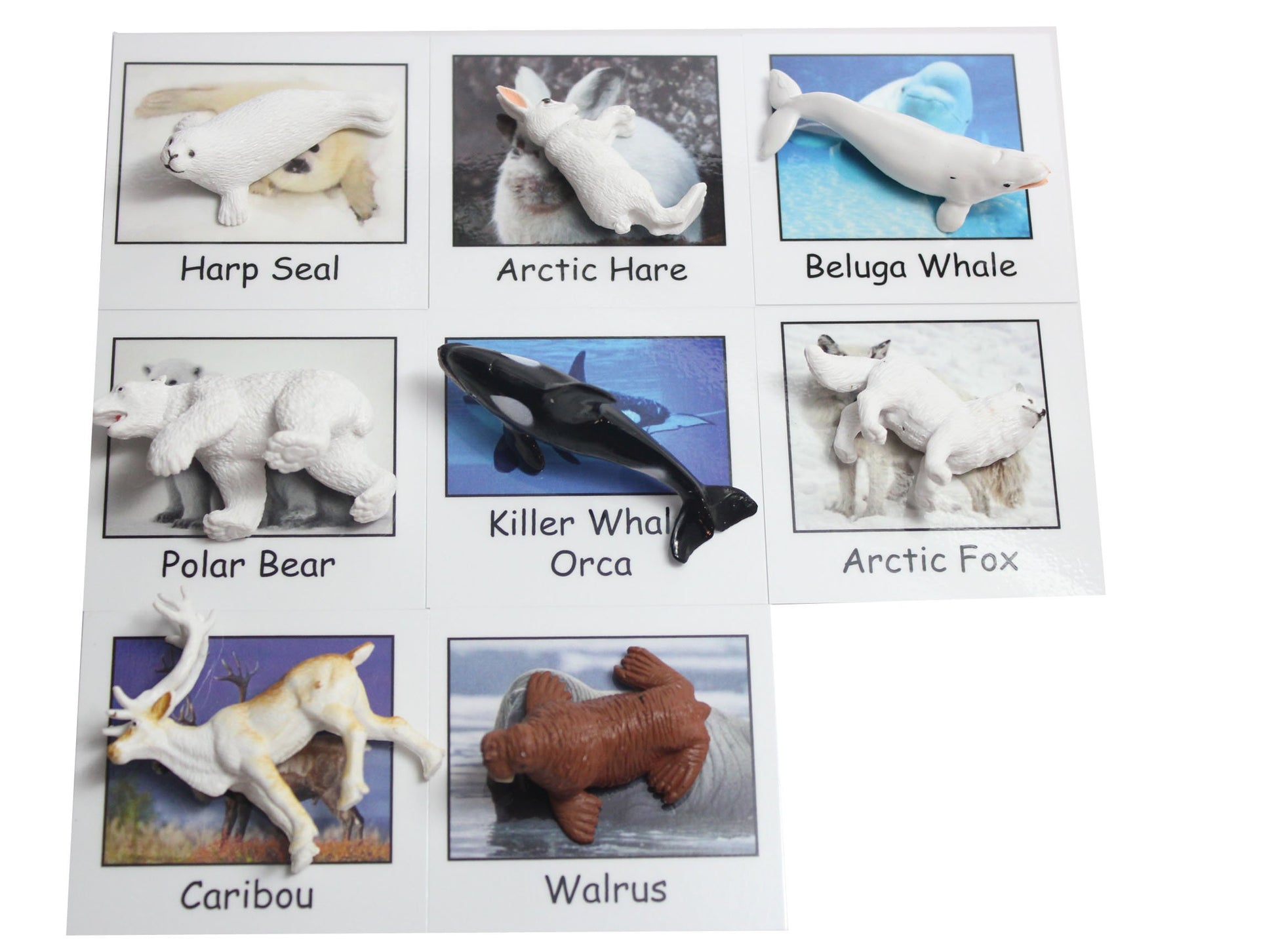Montessori Arctic Polar Animal Match - Miniature Arctic Animal Toy Figurines with Matching Cards - 2 Part Cards. Montessori Learning Toy, Language
