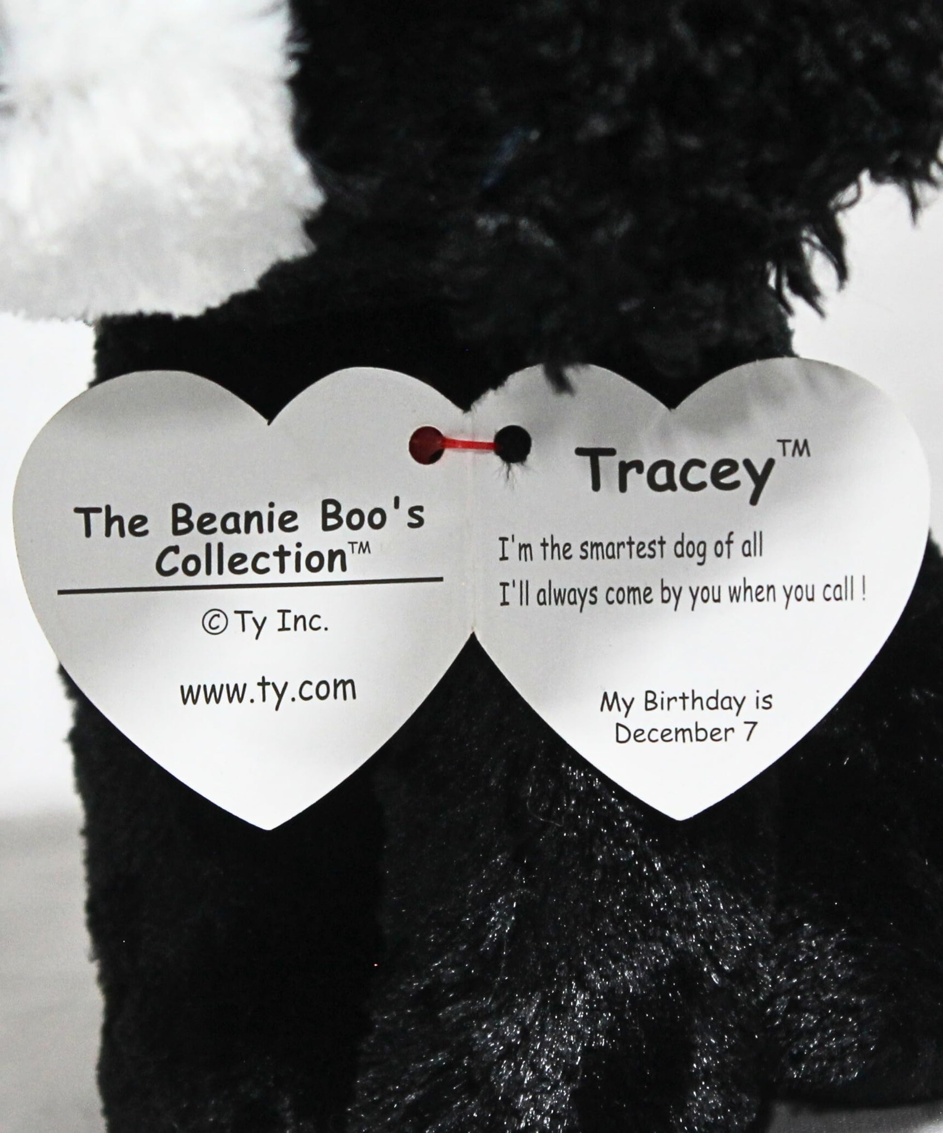 Ty Tracey Dog Plush, Black/White, Regular