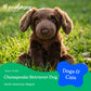 The Petting Zoo Chesapeake Retriever Dog Stuffed Animal Plushie, Gifts for Kids, Brown Dog Plush Toy 9 inches
