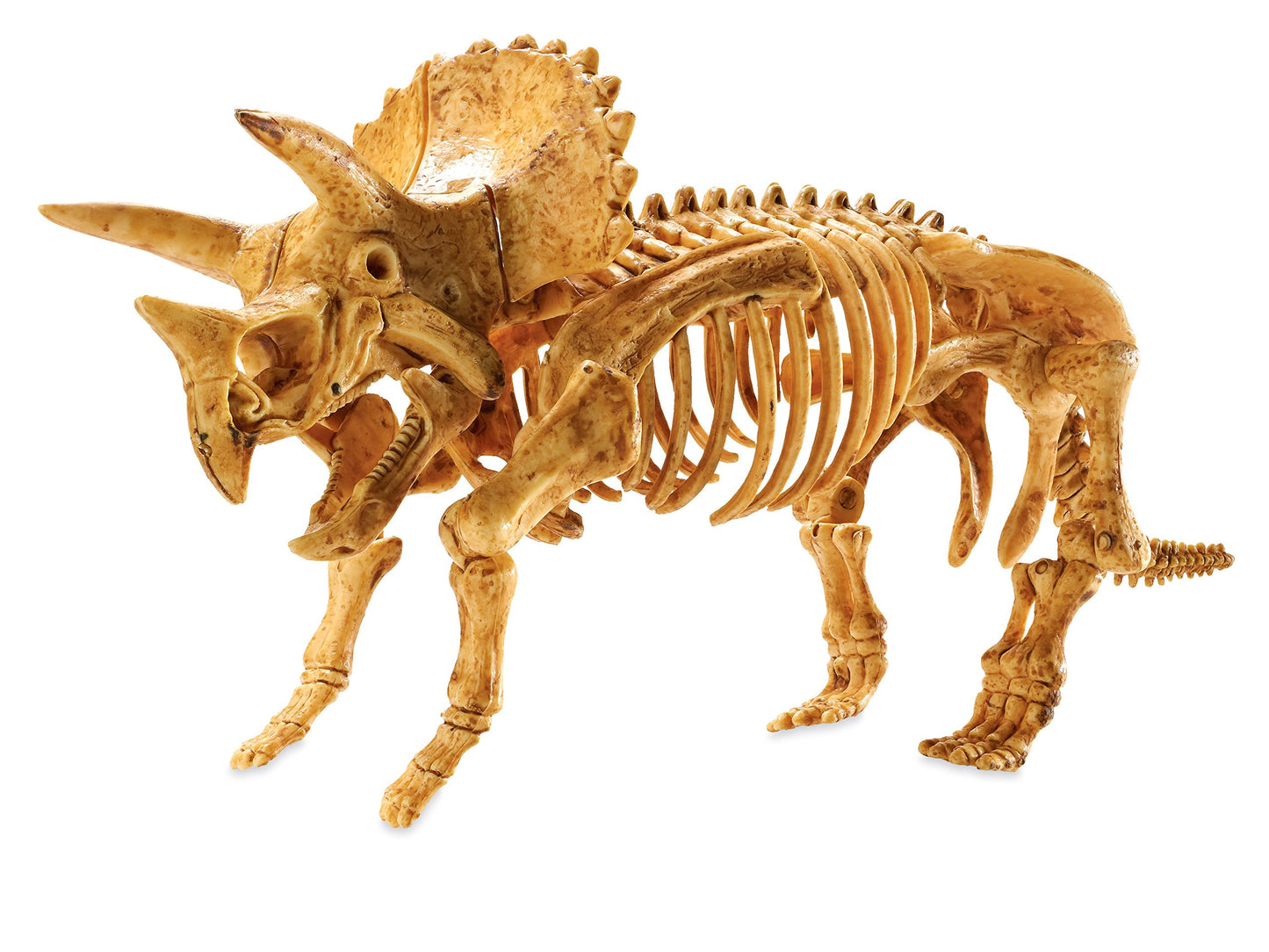 MindWare Dig It up! Triceratops