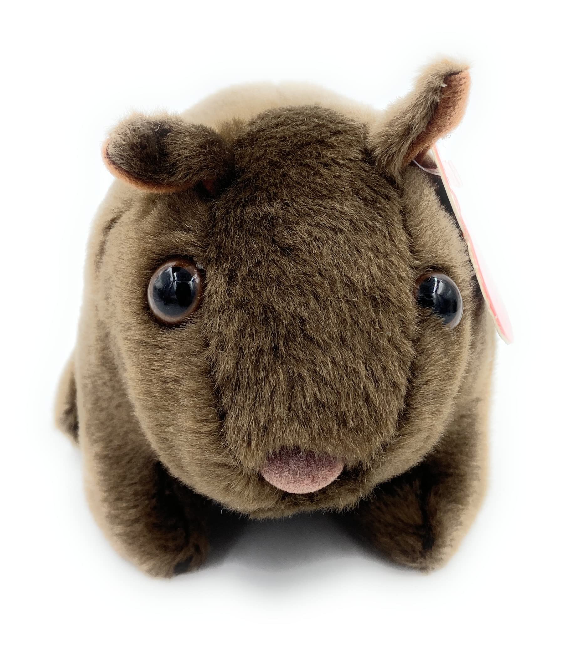 Aeisage Wombat Stuffed Animal 4.5" Plush Small Wombat Toys Cute Australian Souvenirs Tree Bear Gifts for Boys & Girls Super Soft Stuffed Colah