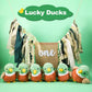 Niceup 12-Pack Small Mallard Duck Stuffed Plush Animals 4.5in One Lucky Duck Baby Shower Huntting Duck Party Favors Decoration Easter Basket Stuffer