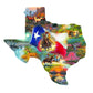 SUNSOUT INC - Images of Texas - 1000 pc Special Shape Jigsaw Puzzle by Artist: Mark Keathley - Finished Size 32" x 25.5" - MPN# 95030