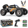 HAIBOXING 905 Protector 1:12 Scale RC Cars, Off-Road RC Buggy Hobby Grade