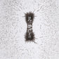 Iron Filings for Magnet Experiments - Magnetic Field Science Learning for Kids, STEM Classroom Supply, Hands-On Physics Activities