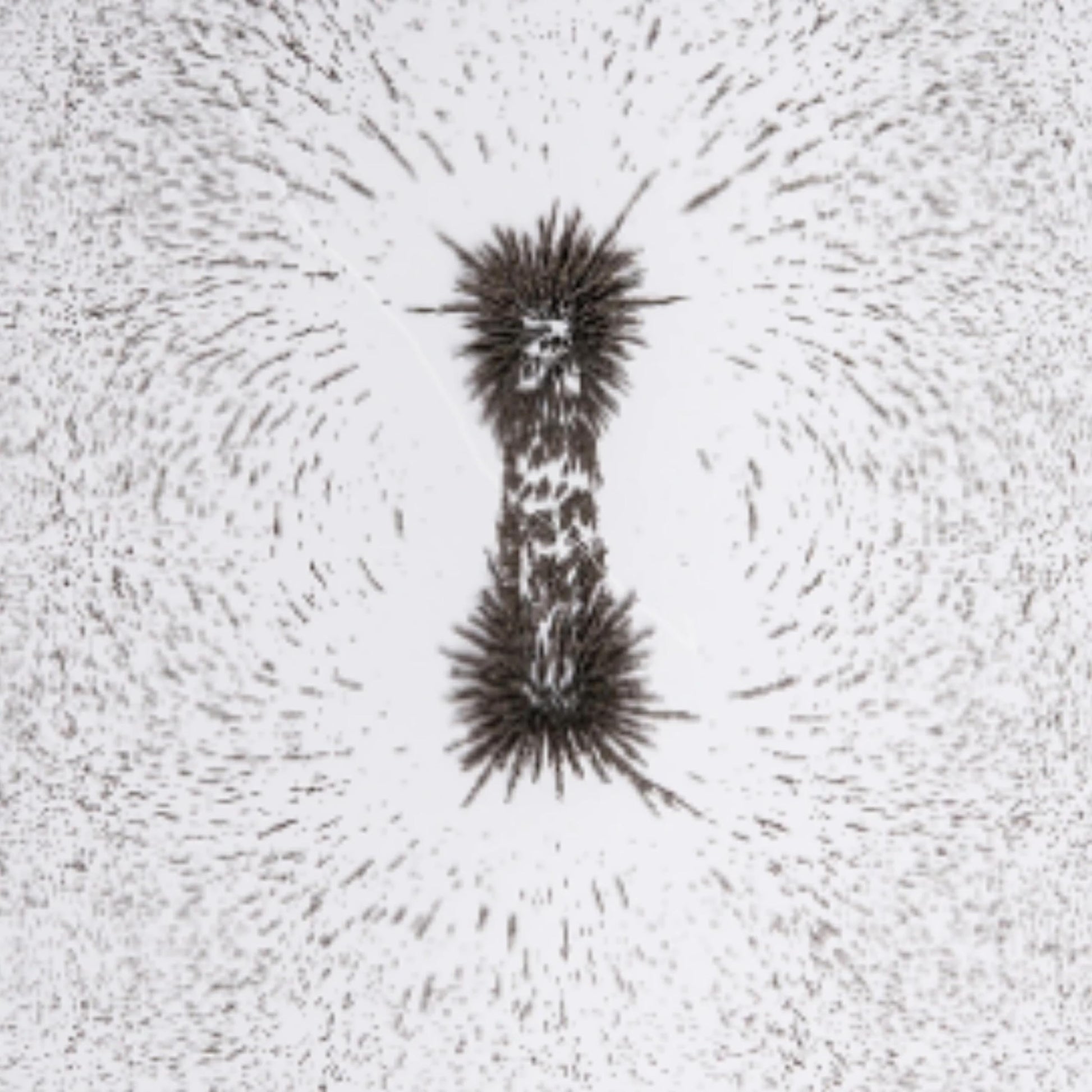 Iron Filings for Magnet Experiments - Magnetic Field Science Learning for Kids, STEM Classroom Supply, Hands-On Physics Activities