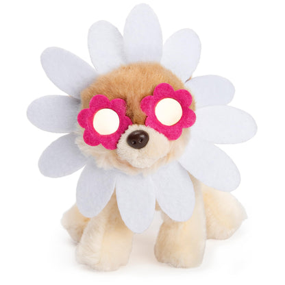 GUND Boo, The World’s Cutest Dog, Itty Bitty Boo Daisy Flower #61, Stuffed Animal Plush, Spring Decor, Pink and White, 5”