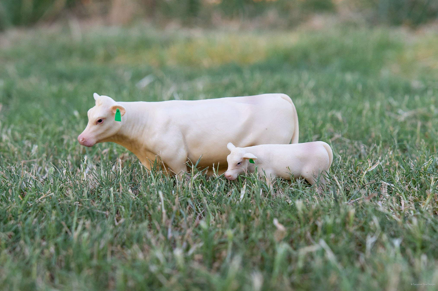 Little Buster Toys Charolais Cow and Calf Pair - 1/16th Scale