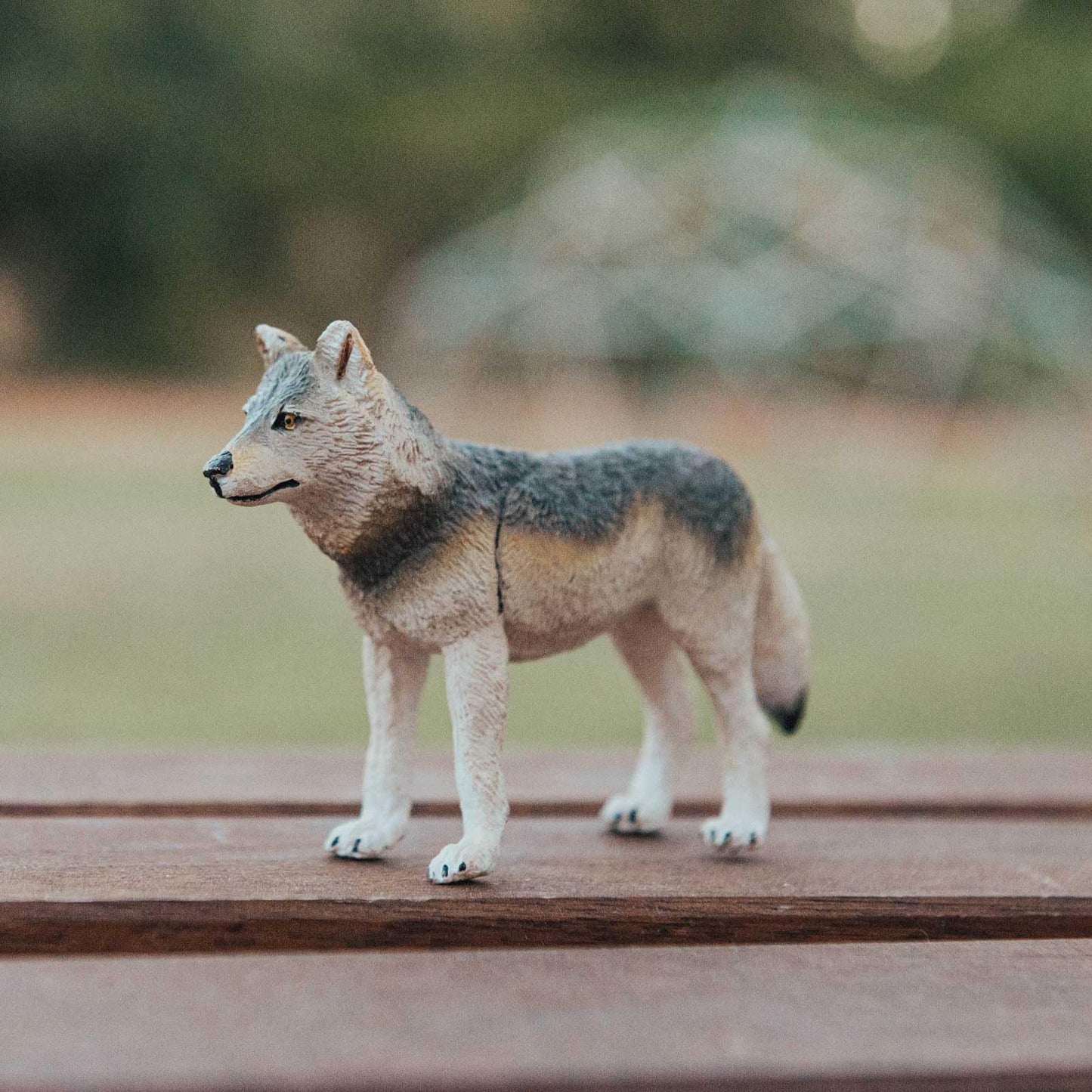 Safari Ltd. Gray Wolf Figurine - Realistic 4" Plastic Wolf Figure - Educational Toy for Boys, Girls, and Kids Ages 3+